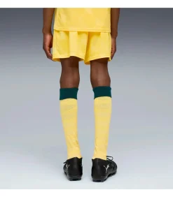 Acm Shorts Replica Jr