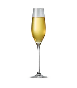 Champagneglas 21cl Cuvee - set/6