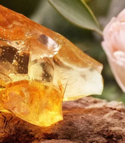 Chloe Signature Geparfumeerde Bodylotion 200 ml