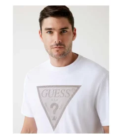 Cn Ss Triangle Logo Tee