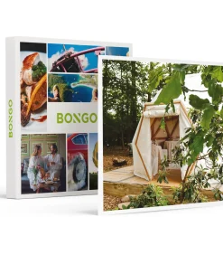 Culinair 6-gangenmenu in een privébos in Braine-l'Alleud - Eten & drinken