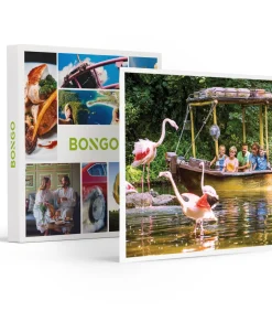 Dagje Bellewaerde voor een gezin van 4 - Actie