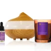Dr Botanicals Kerst Ontspannende Roos Diffuser Kit met Sandelhout & Bergamot Kaars