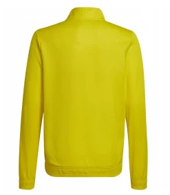 ENTRADA 22 - Jasje - Geel