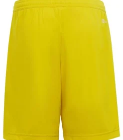 ENTRADA 22 - Korte Broek - Geel