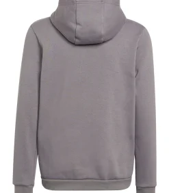 ENTRADA 22 - Trui met kap - Grijs