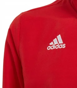 ENTRADA 22 PRESENTATION - Jasje - Rood