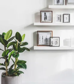 FLOATING Box 20 x 25 wit