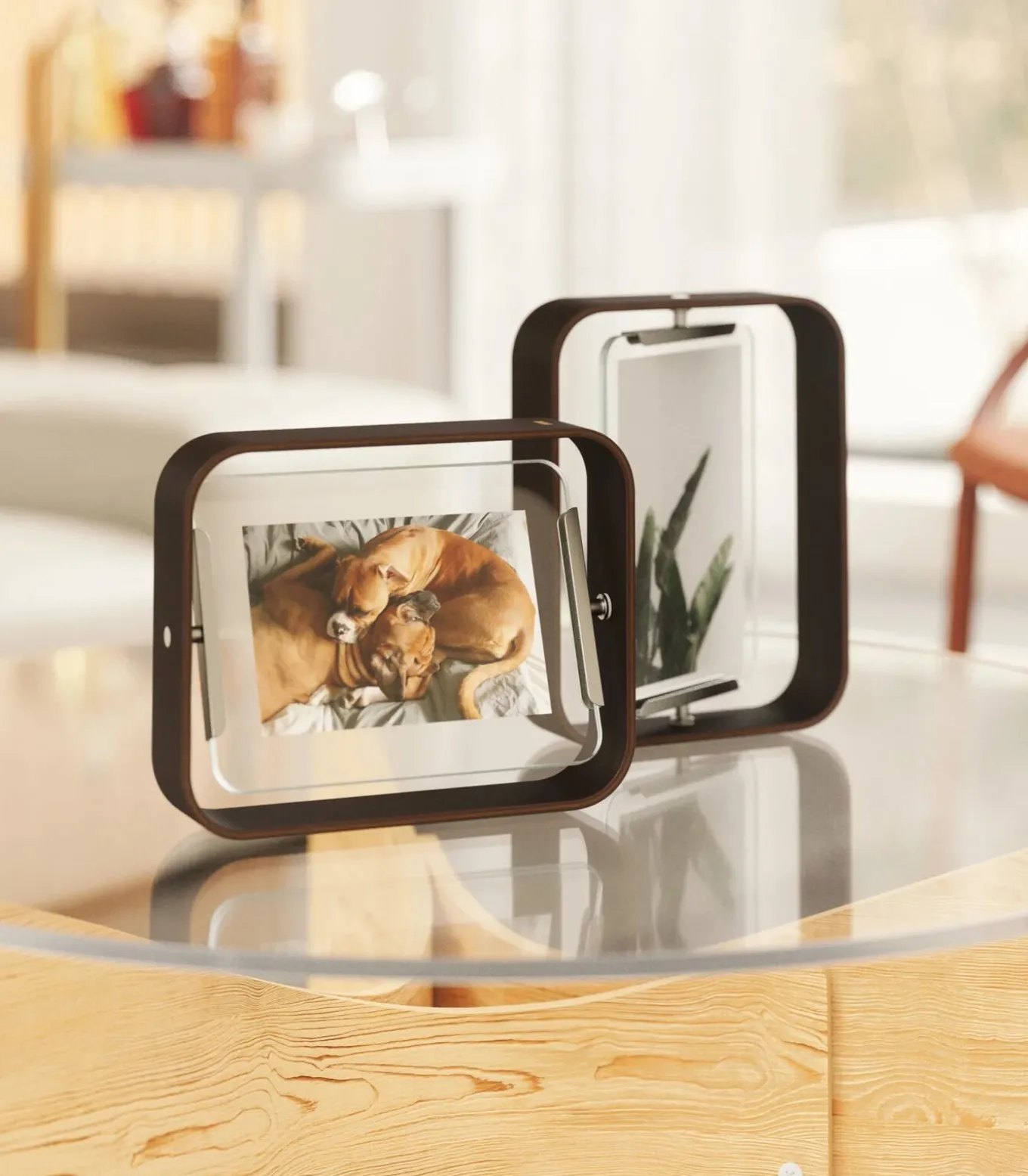 Foto houder Bellwood