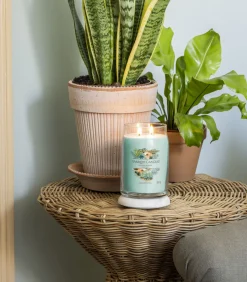 Geurkaars Aloe & Agave Signature Large Jar