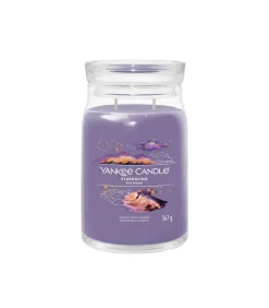 Geurkaars Stargazing Signature Large Jar