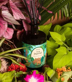 Geurstokjes Folha Imperial 500ml