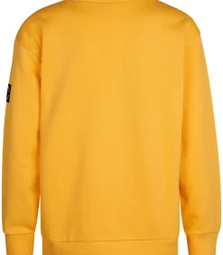 Grafische Sweater Allegheny