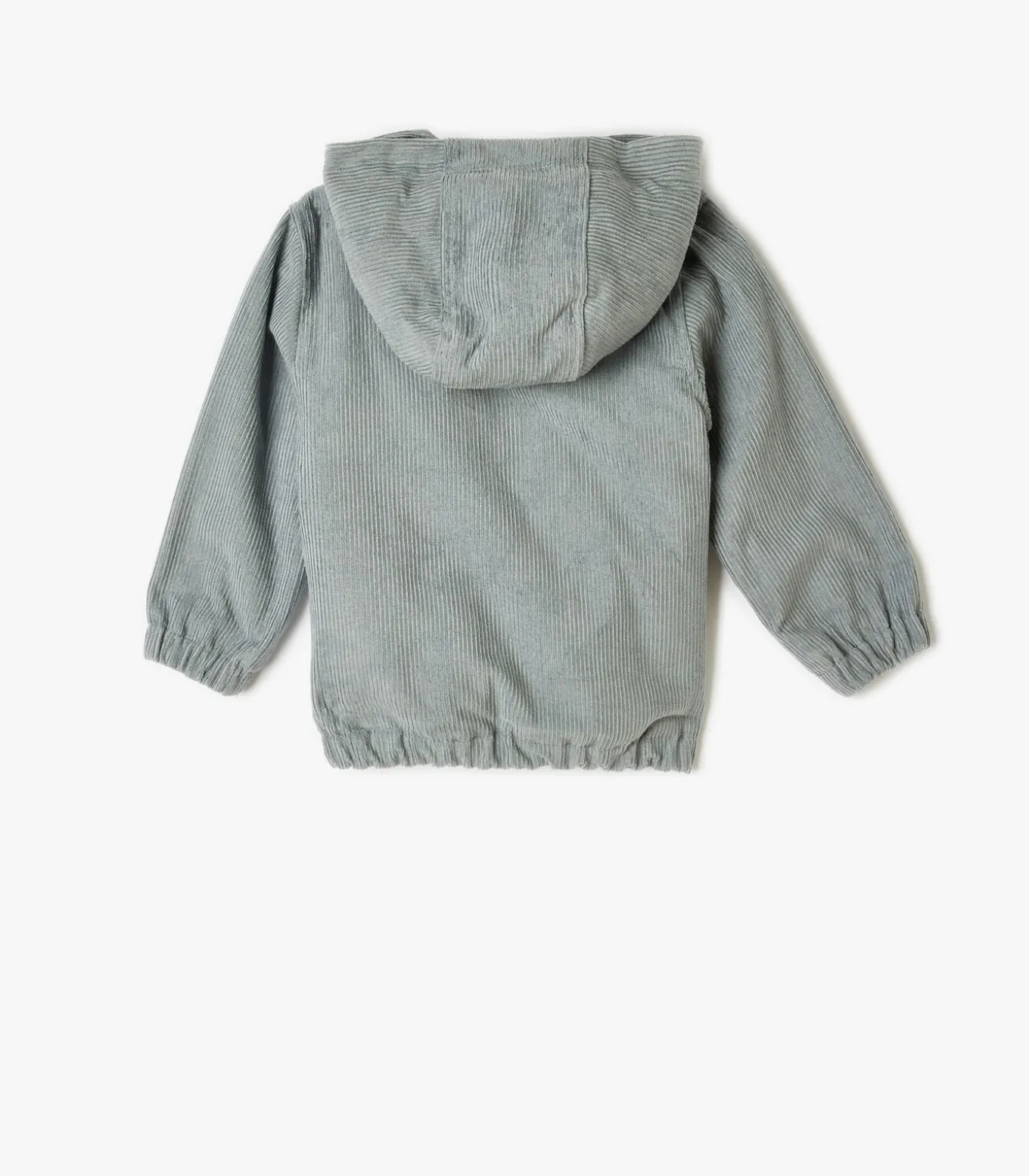 Normaal Heup lengte Jasje