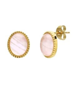 Oorbellen Staal - Goudkleurig