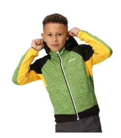 PRENTON II - Jasje - Muntgroen