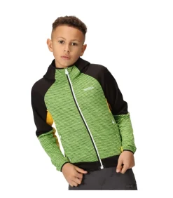 PRENTON II - Jasje - Muntgroen