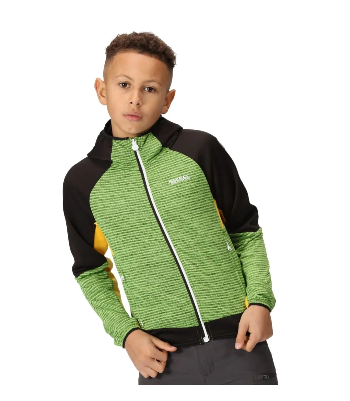 PRENTON II - Jasje - Muntgroen