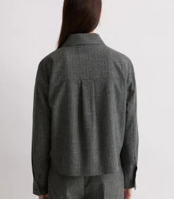 Regular krijtstreepjasje