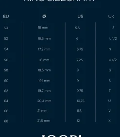 Ring voor mannen, roestvrij staal