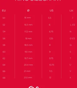 Ring voor mannen, roestvrij staal | Kompas