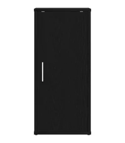 Schoenenkasten 32x35x70 cm spaanplaat 2 st zwart eikenkleurig