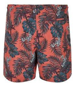 TROPICAL - Zwembroek - Koraal
