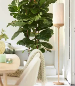 Vloerlamp Dania - Crème/Naturel - Ø23x159cm