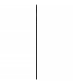 Wandspiegel boog 60x100 cm ijzer zwart